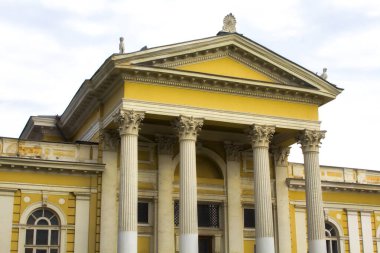 Eski bir malikanenin sarı duvarı kabartmalı çiçek desenleri ve sütunlu pencerelerle dekore edilmiş.