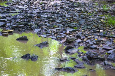 Kayalıklarda nehir pınarı sıçrıyor