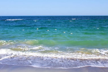 Martı kuşu dalga denizinde kalır