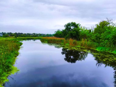 Nehir yolu Panorama Sahili Doğa