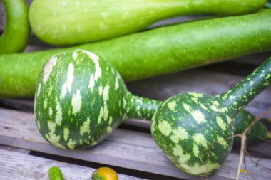 Taze lif ve balkabağı, arka plan için sebze, hasat.