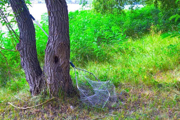 Boş Bir Iniş Kıyıdaki Yeşil Çimlere Uzanır — Stok fotoğraf