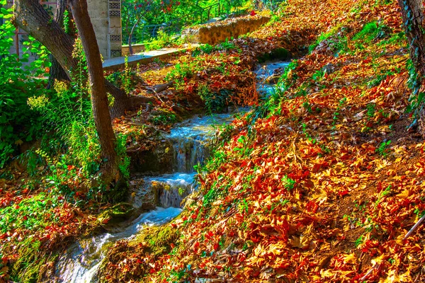 Bela Cascata Cachoeira Respingo Rochas — Fotografia de Stock