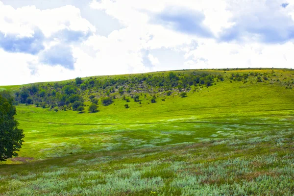 Green Field Hills Landscape Panorama — 스톡 사진