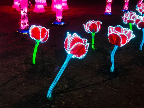 Beautiful Glowing Pink Artificial Flower Garden Light Installations — Stock Photo, Image