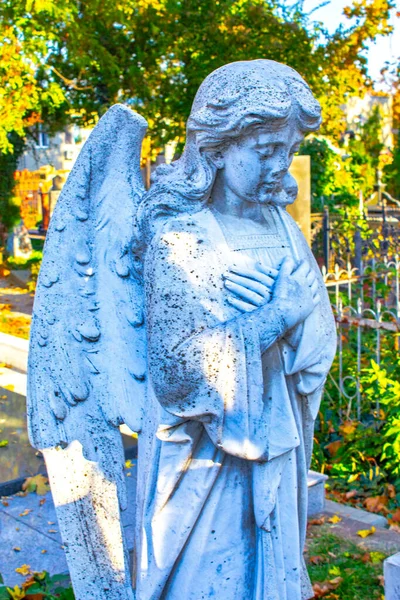 Statue Kneeling Angel Arms Crossed Blue Sky Cemetery Headstone Crucifix — 스톡 사진