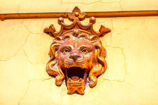 Скульптура Головы Льва Стене — стоковое фото