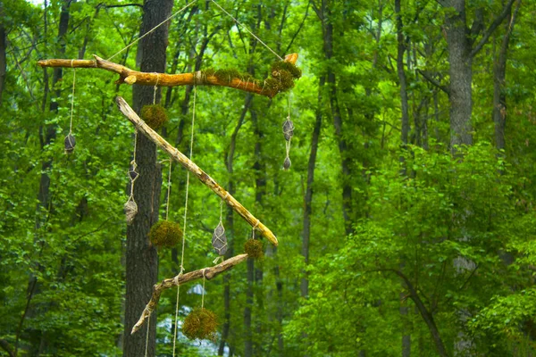 民族トーテムドリームキャッチャー 夢のキャッチャーが木にかかって — ストック写真