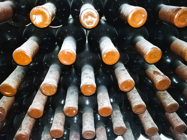 Dusty Wine Bottles Shelfs Cellars Winery — Stock Photo, Image