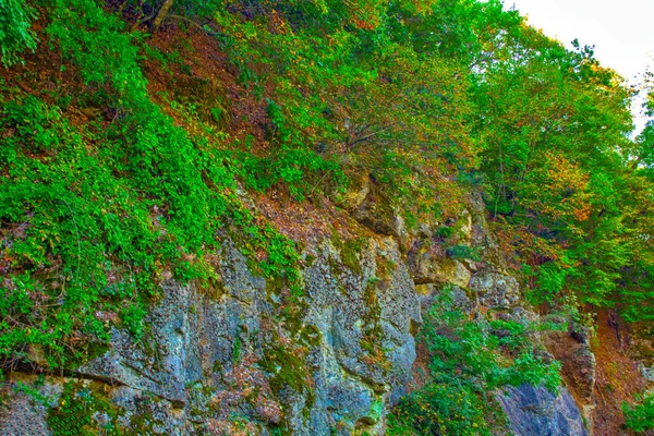 Montanha Rochas Arbustos Verdes — Fotografia de Stock