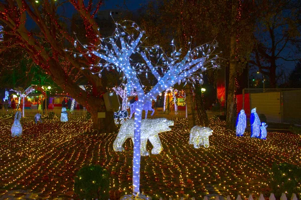 Garland Illumination Christmas Garden Night — Stock Photo, Image