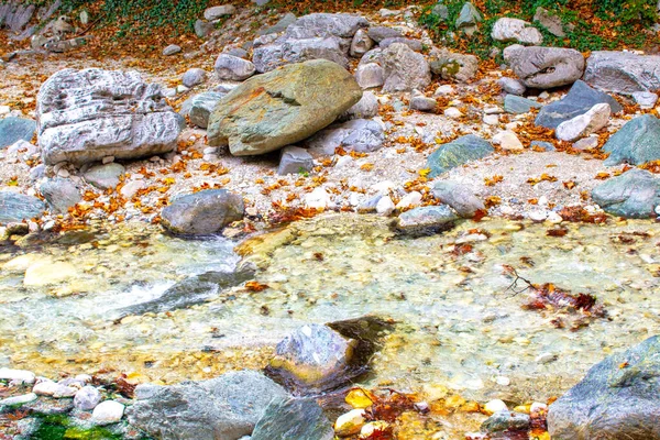 Nehir Suyu Kayalar Sonbahar Akçaağaç Yapraklarıyla Sıçrar — Stok fotoğraf