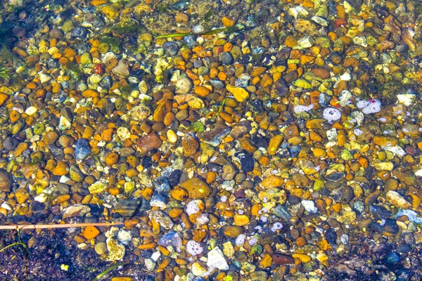 Suyun Altında Sarı Çakıl Taşı — Stok fotoğraf