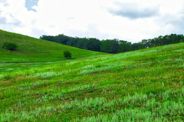 Zelené Pole Kopce Krajina Panorama — Stock fotografie