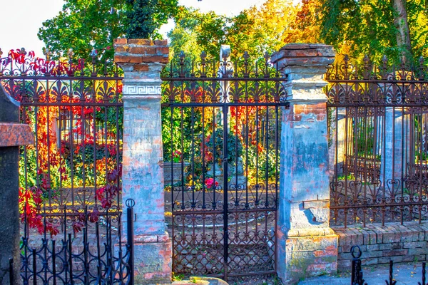 closeup of metal fence with plants in the background. Rusty, old gate without a fence. Vintage metal fence with rust