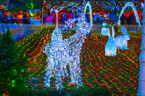 Garland Illumination Christmas Garden Night — Stock Photo, Image