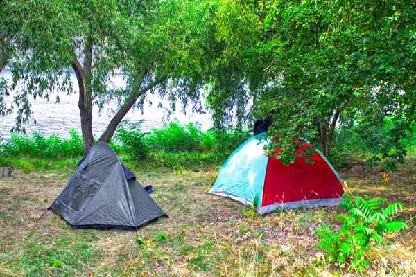 Naturaleza Paisaje Camping Tienda Bajo Árbol Prado Hierba Verde Parque — Foto de Stock