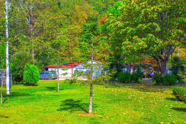 Podzimní Park Zelené Stromy Příroda — Stock fotografie