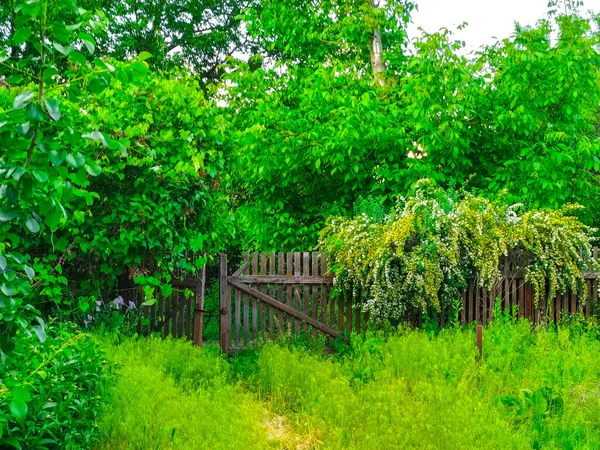 Eski Ahşap Bahçe Kapısı Girişi Ahşap Çit Bahçesi Arka Planda — Stok fotoğraf