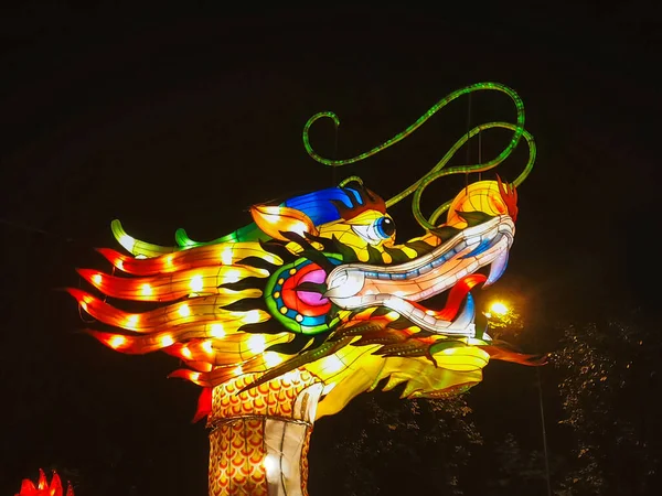 Dragon chinese lantern show color art night. garden light decoration