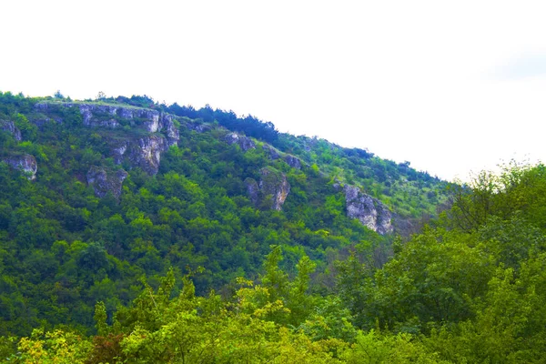 Forêt Montagne Aube Brume Douce Dans Air Vue Panoramique Sur — Photo