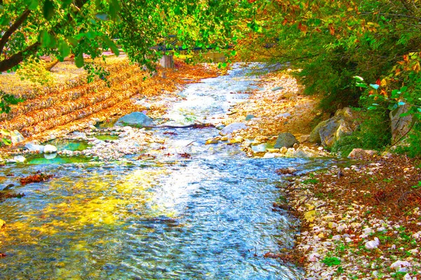 Río Salpicaduras Rocas Parque Otoño — Foto de Stock