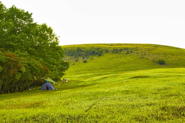 Namioty Kempingowe Zielonych Wzgórzach Lesie — Zdjęcie stockowe