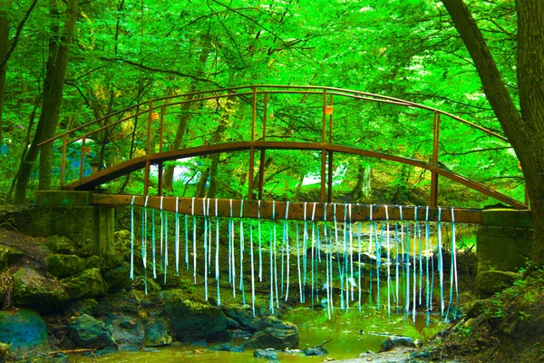 Ponte Rustico Nella Natura Verde Della Foresta — Foto Stock