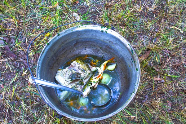 Vissoep Ukha Gekookt Grote Gietijzeren Pot Bij Kampvuur — Stockfoto