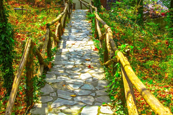 Caminho Tijolo Com Carris Madeira Jardim Beco — Fotografia de Stock