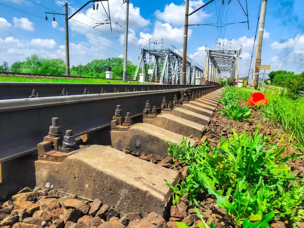 Puente Ferroviario Entre Construcción Naturaleza — Foto de Stock