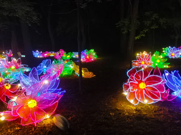 Beautiful Glowing Artificial Flowers Garden Light Installations — Stock Photo, Image