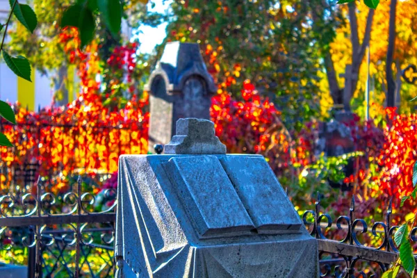 Tombstones Cemetery Green Plants Old Graves Graveyard Gothic Tombstone Autumn — 스톡 사진