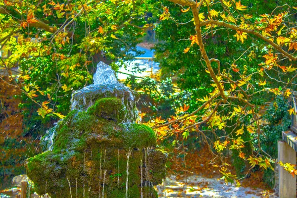 Green Moss Rocks Fountain Design Water Splash — 스톡 사진