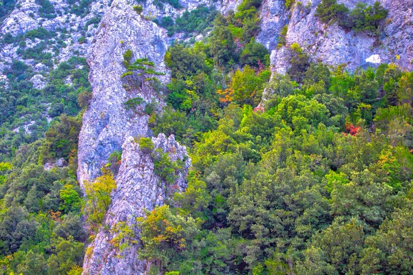 Olympus Montanha Grécia Panorama Natureza — Fotografia de Stock