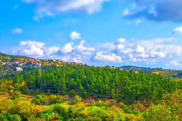 Cielo Azul Otoño Bosque Pinos Panorama — Foto de Stock