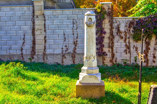 Grabsteine Auf Dem Friedhof Inmitten Grüner Pflanzen Alte Gräber Auf — Stockfoto