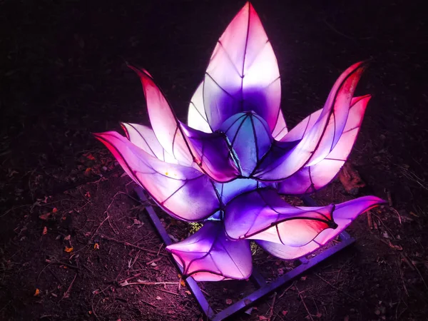 Beautiful Glowing Purple Artificial Flower Garden Light Installations — Stock Photo, Image