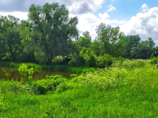 River Way Panorama Coast Nature Sunny Day — Stock Photo, Image