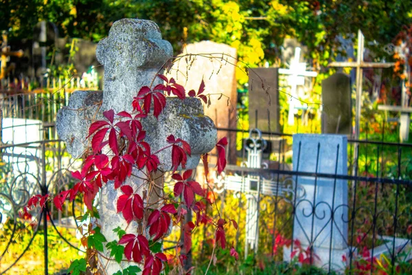 Velhas Cruzes Pedra Cemitério Dia Outono — Fotografia de Stock