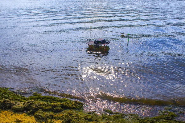 Angeln Mit Feeder Angelrute Auf Dem Fluss Blick Vom Ort — Stockfoto