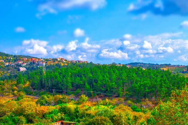 Ciel Bleu Automne Forêt Pins Panorama — Photo