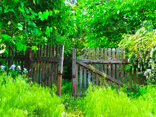 old wooden fence garden gate entrance. wooden fence garden. closeup of metal fence with plants in the background. long brown decorative wooden fence.