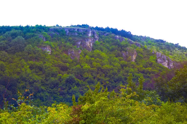 Forêt Montagne Aube Brume Douce Dans Air Vue Panoramique Sur — Photo