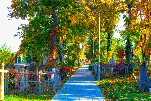 Día Otoño Soleado Camino Callejón Cementerio — Foto de Stock