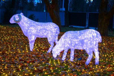 Çelenk aydınlatma Noel bahçesi, gece