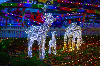 Çelenk aydınlatma Noel bahçesi, gece