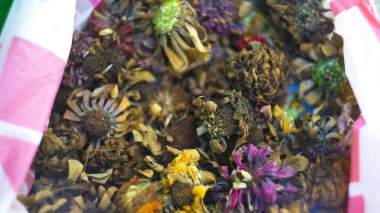 Kurutma, Zinnia çiçeği tohumları hasat etme. Tohumları kurutmak ve toplamak için kullanılan taze kesilmiş zinnia çiçekleri..