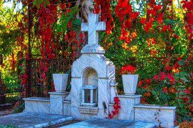 Mezarlıkta yeşil bitkilerin arasında mezar taşları. Mezarlıktaki eski mezarlar. Sonbahar güneşli bir günde Gotik mezar taşı