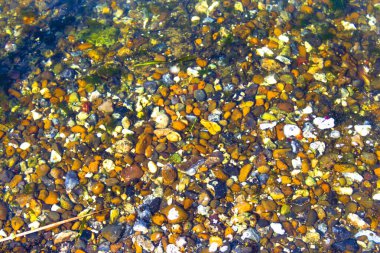 Suyun altında sarı çakıl taşı